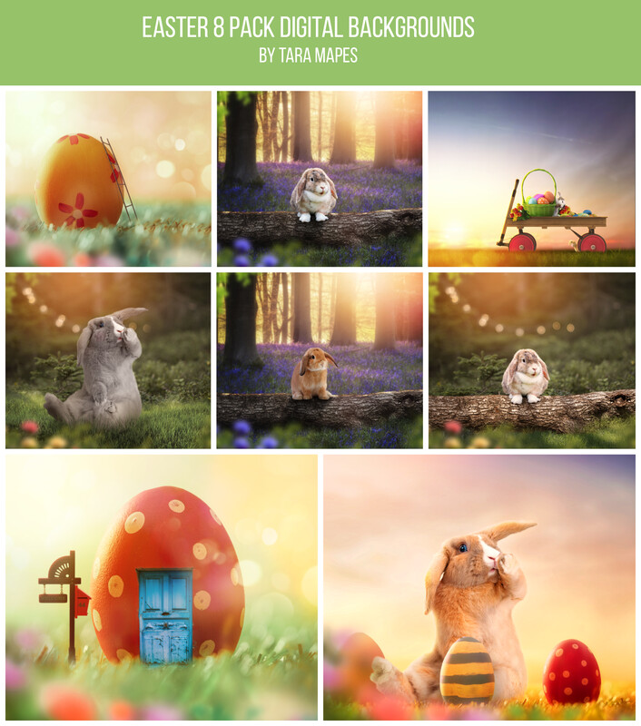 8 Pack Easter Digital Backgrounds - Easter Digital Backgrounds Backdrops