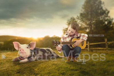 Baby Pig on Farm- Piglet in Country Field Digital Background