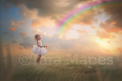 Paint a Rainbow- Rainbow Painter in Field- Rainbow Sunny Day Field with Separate Rainbow Overlay - Digital Background Backdrop