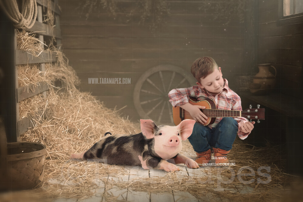 Piglet in a Barn Layered PSD Digital Background Backdrop by Tara Mapes - Pig in Barn on Farm