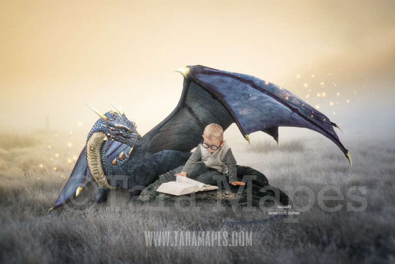 Dragon Reading a Book - Dragon in Field- Magical Dragon  Digital Background / Backdrop