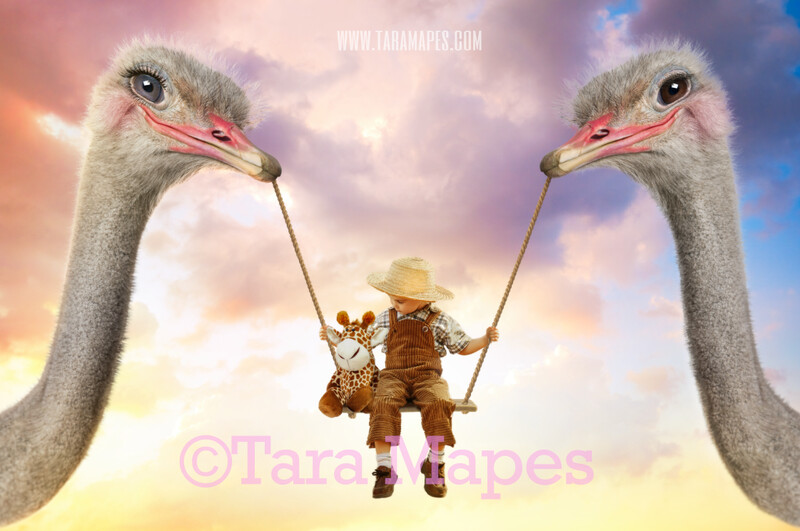 Ostrich Swing- Whimsical Pair of Ostriches - Ostrich Couple holding Swing - Digital Background - Ostrich in Whimsical Scene Digital Background