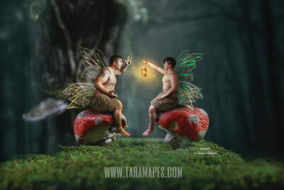 Red Spotted Mushrooms in Enchanted Forest Digital Background / Backdrop for a Fairy Scene