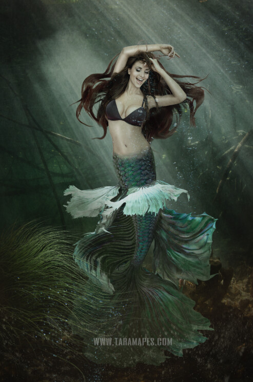 Realistic Dark Mermaid Underwater 3 - Layered PSD Mermaid Digital Background Backdrop - Separate Element Layers -Tail Layer is Separate