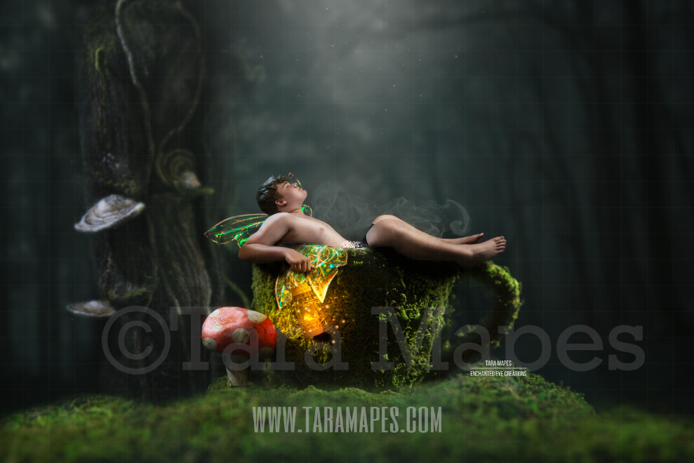 Moss Covered Fairy Cup with Red Spotted Mushroom in Enchanted Forest Digital Background / Backdrop for a Fairy Scene