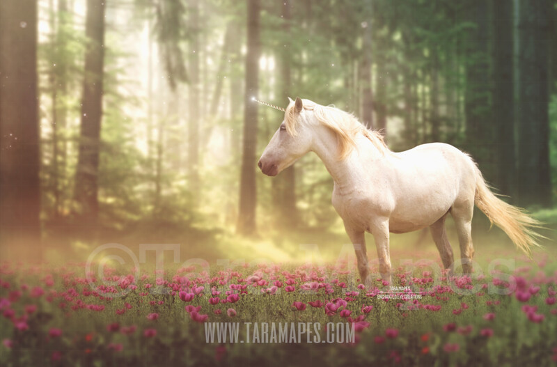 Unicorn in Field of Flowers by Forest Digital Background Backdrop