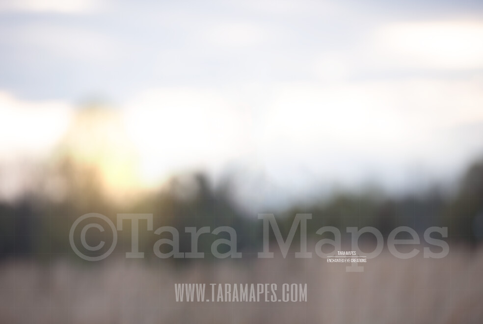 Blurred Field #2 $1 Digital Background Backdrop by Tara Mapes