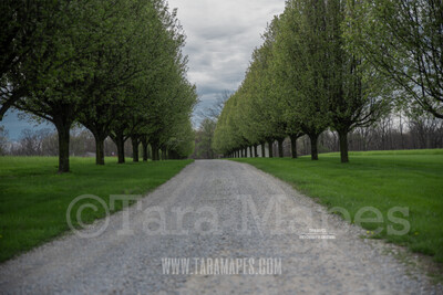 Gravel Path Landscape Digital Background Backdrop by Tara Mapes