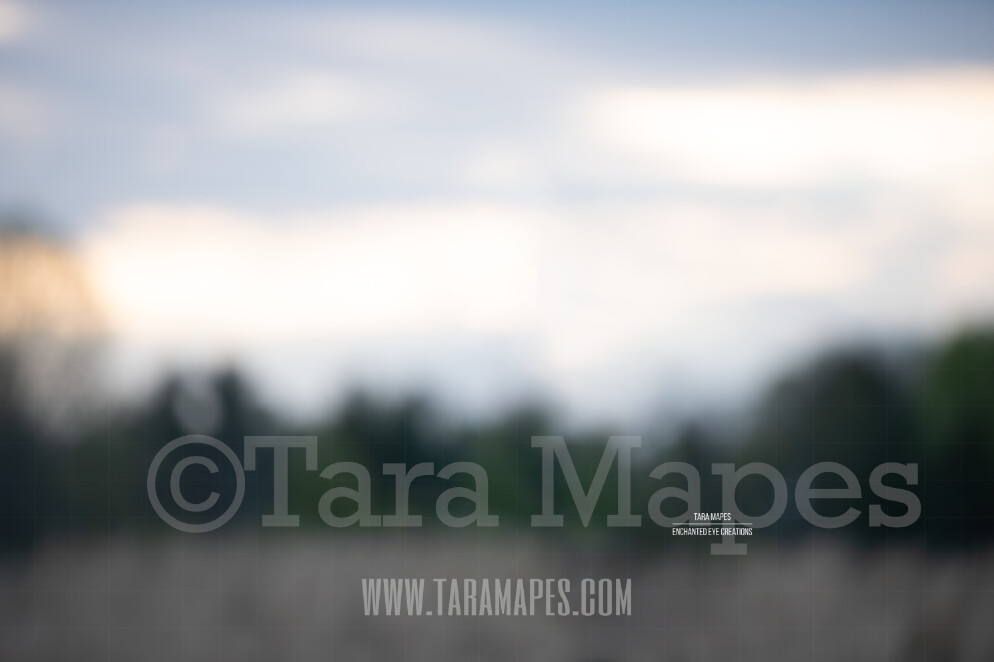 Blurred Field $1 Digital Background Backdrop by Tara Mapes