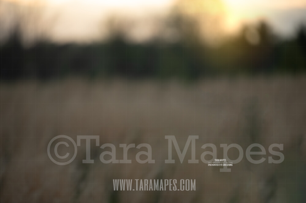 Blurred Field #3 $1 Digital Background Backdrop by Tara Mapes
