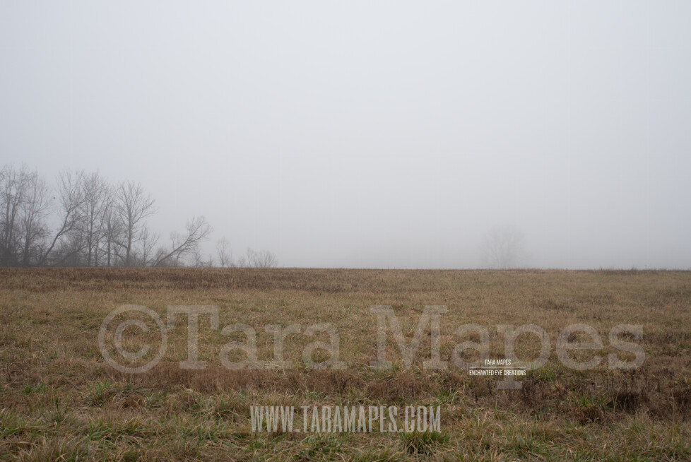 Foggy Field 5 $1 Digital Background Backdrop