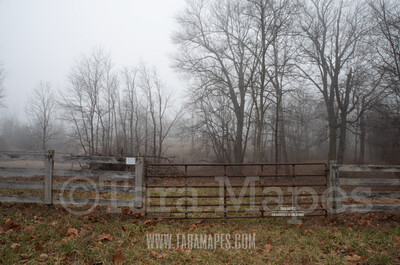 Foggy Woods 1 $1 Digital Background Backdrop