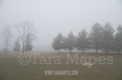 Foggy Green Pines $1 Digital Background Backdrop