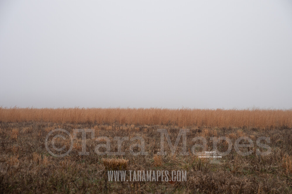 Foggy Field 2 $1 Digital Background Backdrop