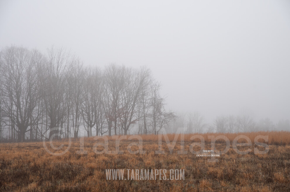 Foggy Field 3 $1 Digital Background Backdrop