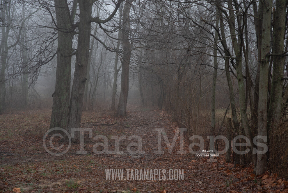 Foggy Wood Path 1 $1 Digital Background Backdrop