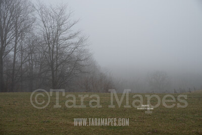 Foggy Green Pines Trees 4  $1 Digital Background Backdrop