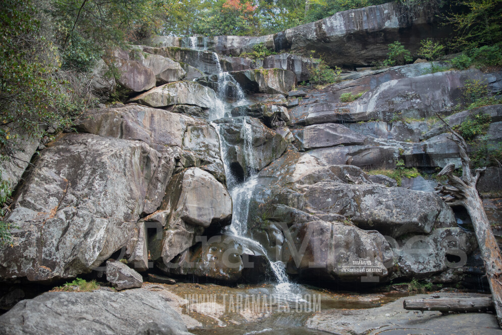 Waterfall $1 Digital Background Backdrop