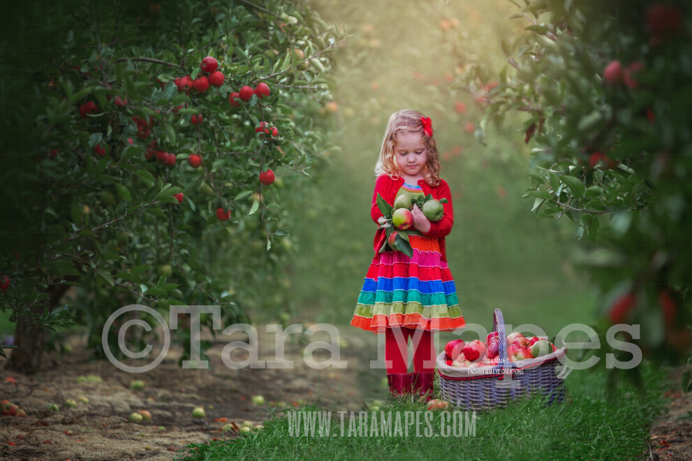 Apple Orchard - Spring Background - Creamy Background Apple Picking - Digital Background / Backdrop