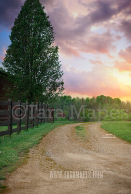 Country Road - Sunset on Farm- Creamy Background -  Digital Background / Backdrop