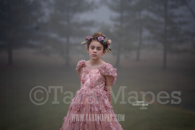 Foggy Morning - Creamy Natural Background - Mist Misty Scene- Digital Background by Tara Mapes