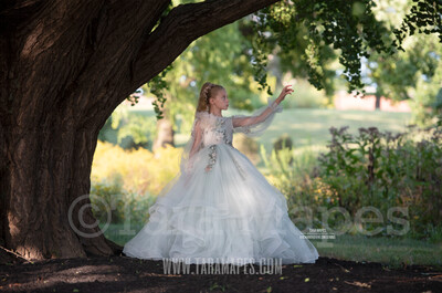 Tree Arch - Creamy Natural Background - Spring Bokeh Digital Background by Tara Mapes