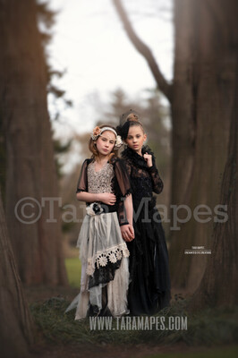 Two Trees in Creamy Forest - Forest Scene - Portrait Couture Digital Background by Tara Mapes