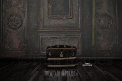 Studio Trunk Vintage Wall with Wood Floor Background Digital Background by Tara Mapes