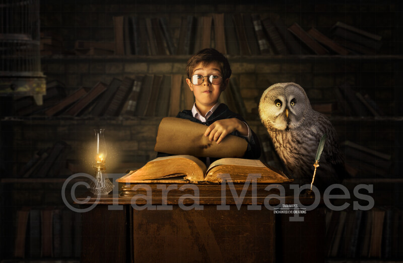 Wizard Desk with Magic Book - Magic Owl - Wizard Spell Book - Wizard Library- Digital Background / Backdrop