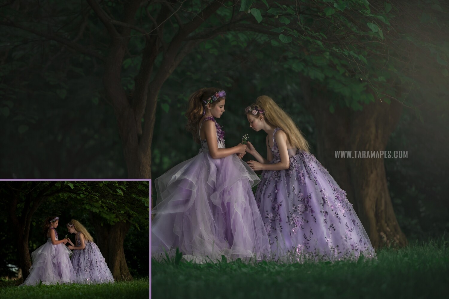 The Enchanted Forest Photoshop Edit Tutorial by Tara Mapes