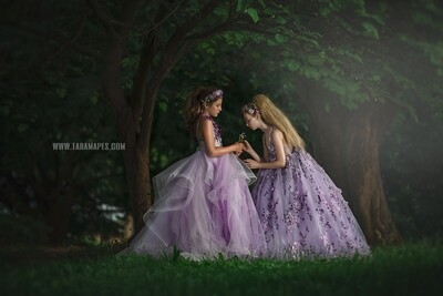 Enchanted Forest - Spring Background - Creamy Background -  Digital Background / Backdrop