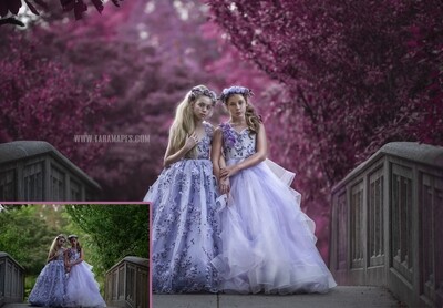 The Bridge Fine Art Painterly Photoshop Tutorial with STARTER PACK- Fine Art Tutorial by Tara Mapes