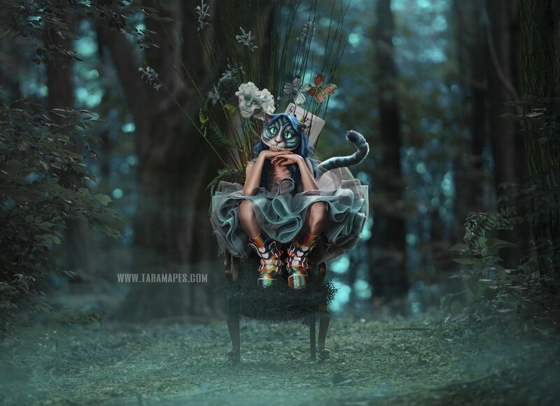 Alice in Wonderland Mossy Chair in Forest Digital Background Backdrop