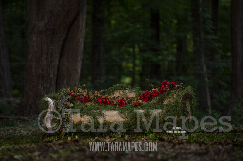 Alice in Wonderland Mossy Couch with Roses in Forest Digital Background Backdrop