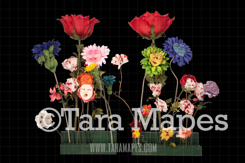 Alice in Wonderland Talking Flowers PSD file WITH mask enabled Digital Background Backdrop