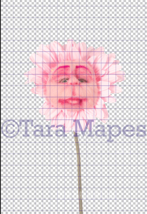 Talking Flower- Pink with Face - Flower Overlay by Tara Mapes - Alice in Wonderland Inspired PNG - Digital Backgrounds and Overlays by Tara Mapes Enchanted Eye Creations