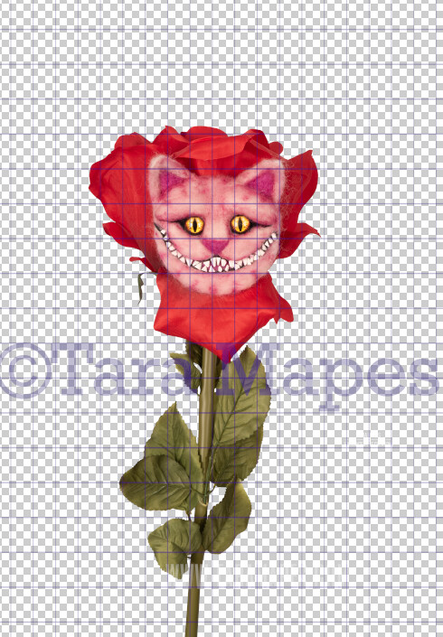 Talking Flower- Cheshire Cat Face on Flower with Face - Flower Overlay by Tara Mapes - Alice in Wonderland Inspired PNG - Digital Backgrounds and Overlays by Tara Mapes Enchanted Eye Creations