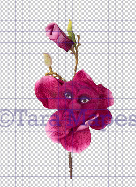 Talking Flower-  Fuschia Flower with Mad Face- Flower Overlay by Tara Mapes - Alice in Wonderland Inspired PNG - Digital Overlays by Tara Mapes Enchanted Eye Creations