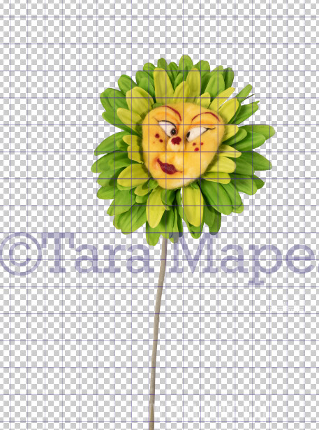 Talking Flower-  Green and Yellow Flower with Funny Face- Flower Overlay by Tara Mapes - Alice in Wonderland Inspired PNG - Digital Overlays by Tara Mapes Enchanted Eye Creations