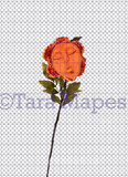 Talking Flower-  Orange Flower with Face and Tongue Sticking - Flower Overlay by Tara Mapes - Alice in Wonderland Inspired PNG - Digital Overlays by Tara Mapes Enchanted Eye Creations