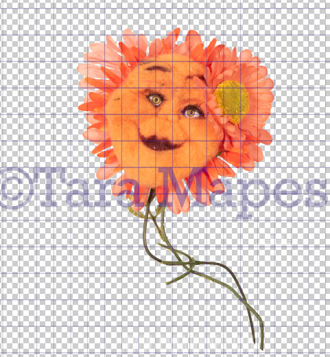Talking Flower-  Orange Flower with Funny Face - Flower Overlay by Tara Mapes - Alice in Wonderland Inspired PNG - Digital Overlays by Tara Mapes Enchanted Eye Creations