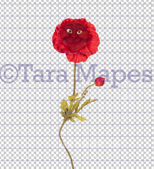 Talking Flower- Red Happy Flower with Funny Face- Flower Overlay by Tara Mapes - Alice in Wonderland Inspired PNG - Digital Overlays by Tara Mapes Enchanted Eye Creations
