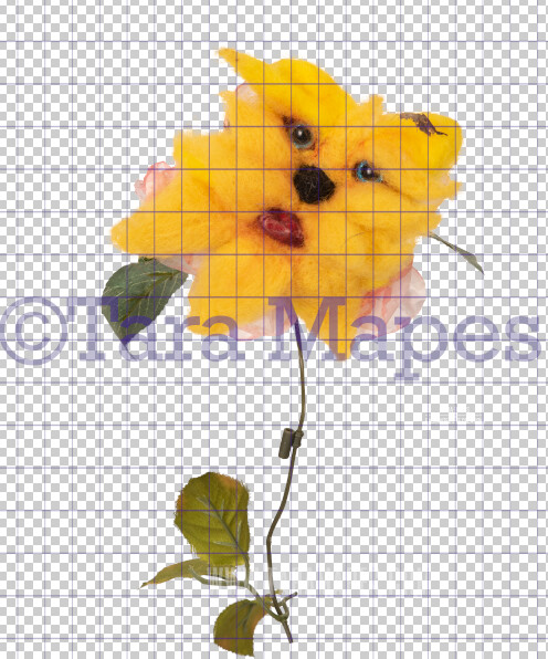 Talking Flower-  Yellow Tiger Flower with Funny Face- Flower Overlay by Tara Mapes - Alice in Wonderland Inspired PNG - Digital Overlays by Tara Mapes Enchanted Eye Creations