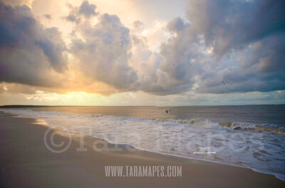 Beach Scene 8  - Beach Cape Bay - Ocean Pier - Pastel Beach Scene - Digital Background Backdrop