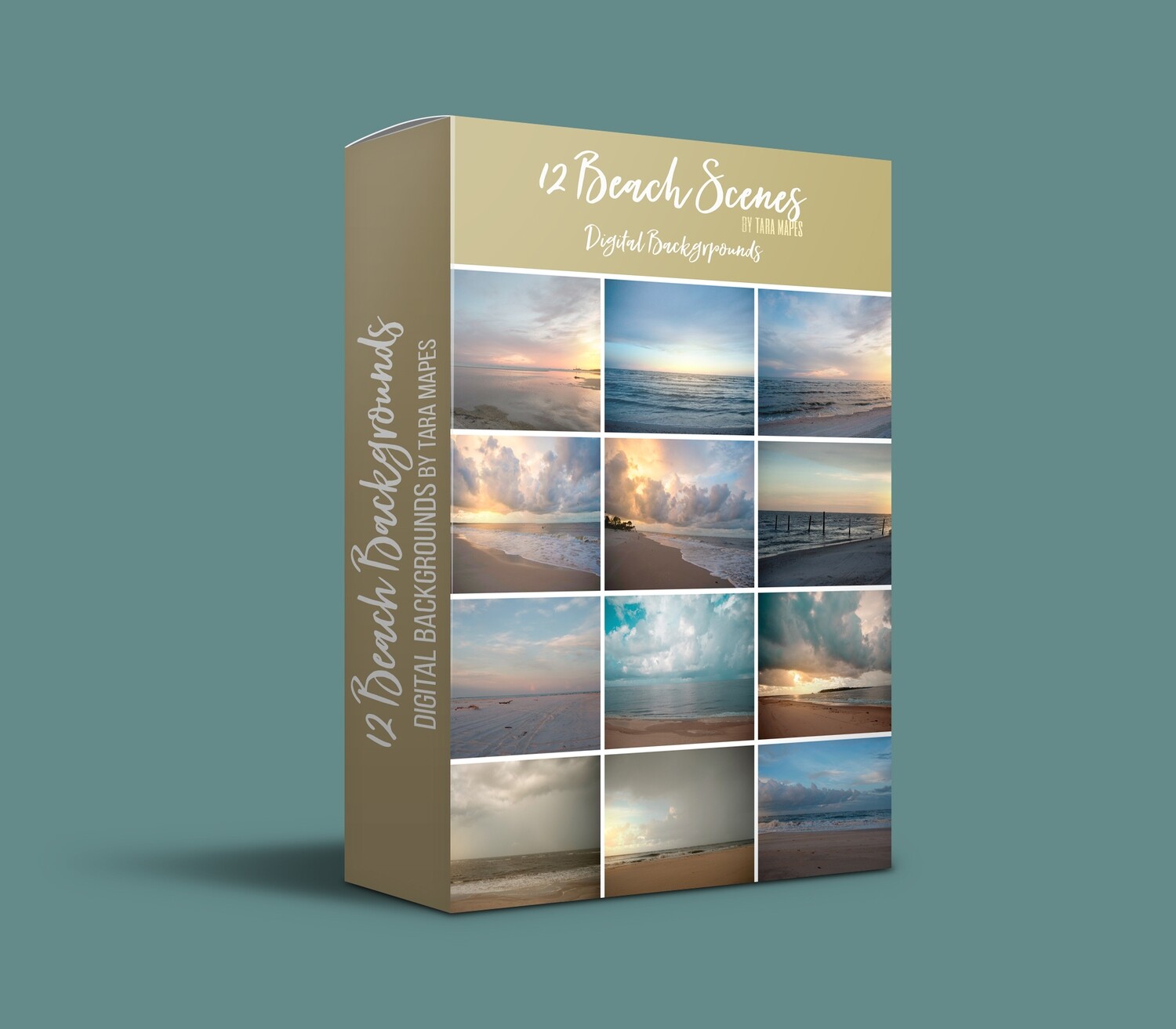 12 Beach Digital Backgrounds - SET OF 12  - Beaches - Stormy Beach Cape Bay - Ocean Pier - Pastel Beach Scene - Digital Background Backdrop
