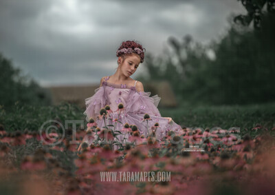 Flowers in Storm Flower Field - Whimsical Flower Field - Dreamy Creamy Stormy Scene- Digital Background by Tara Mapes