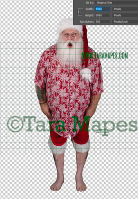 Beach Santa Overlay PNG - Santa Overlay - Santa Clip Art - Santa Cut Out  - Christmas Overlay - Santa PNG - Christmas Overlay