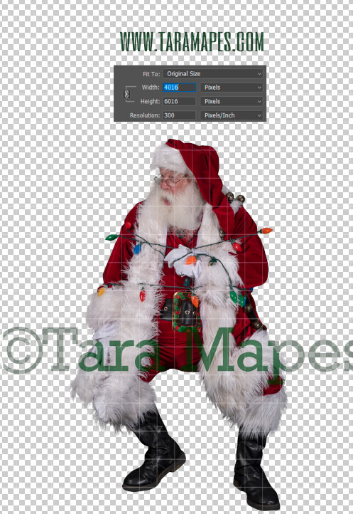 Santa Overlay PNG - Santa Overlay Tied Up with Lights - Santa Clip Art - Santa Cut Out - Christmas Overlay - Santa PNG - Christmas Overlay
