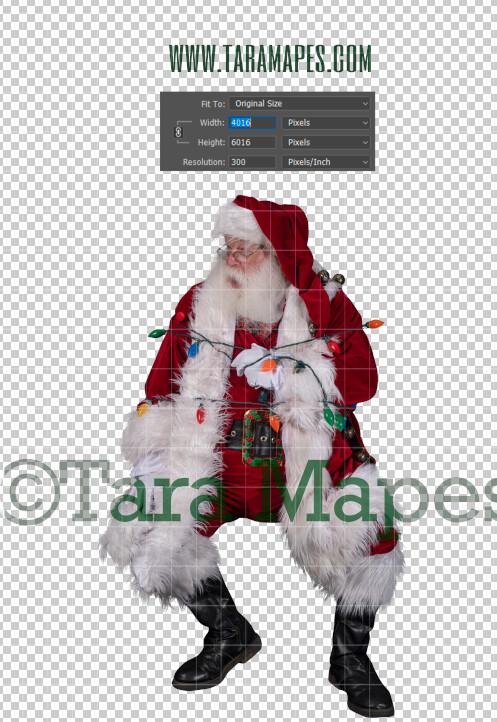 Santa Overlay PNG - Santa Overlay Tied Up with Lights - Santa Clip Art - Santa Cut Out - Christmas Overlay - Santa PNG - Christmas Overlay Santa Overlay PNG - Santa Overlay Tied Up with Lights - Santa Clip Art - Santa Cut Out - Christmas Overlay - Santa PNG - Christmas Overlay