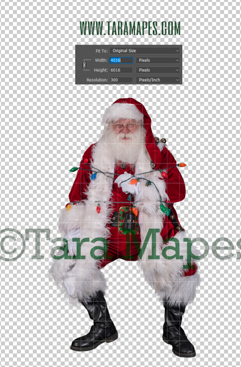 Santa Overlay PNG - Santa Overlay Tied Up with Lights - Santa Clip Art - Santa Cut Out - Christmas Overlay - Santa PNG - Christmas Overlay Santa Overlay PNG - Santa Overlay Tied Up with Lights - Santa Clip Art - Santa Cut Out - Christmas Overlay - Santa PNG - Christmas Overlay